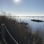 IMG_9896